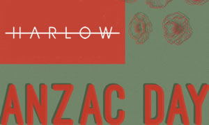 ANZAC Day at Harlow