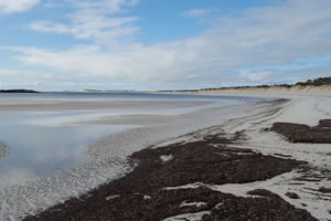 South Australian Beaches